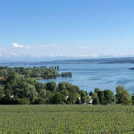 Ferienwohnung "Maisonette Unter Der Burg" Meersburg Luaran gambar