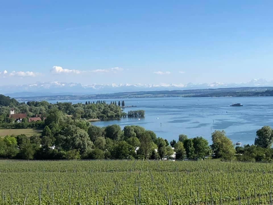 Ferienwohnung "Maisonette Unter Der Burg" Meersburg Luaran gambar